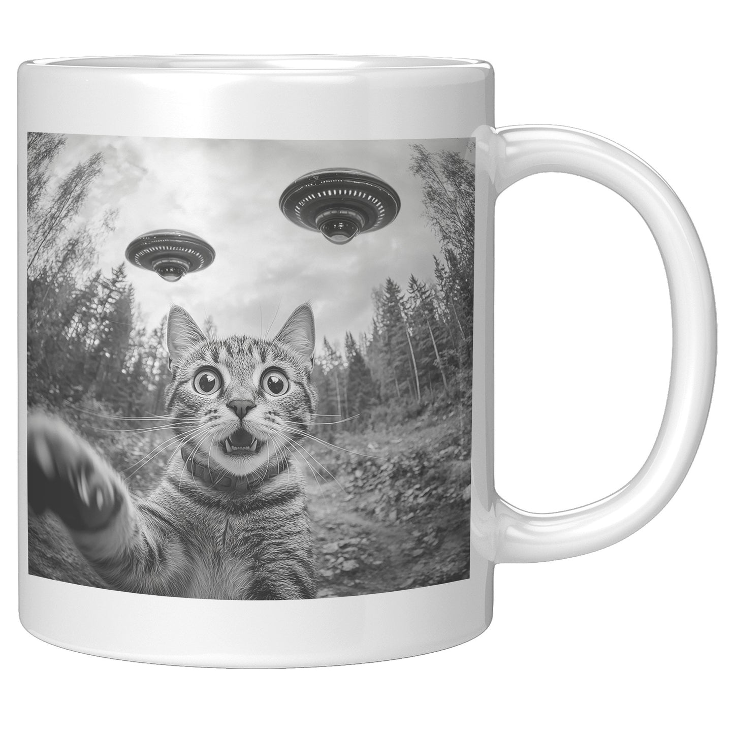 Funny Cat Selfie With Alien UFO 110z Mug, Cat Momma Gift, Cat Dad Gift