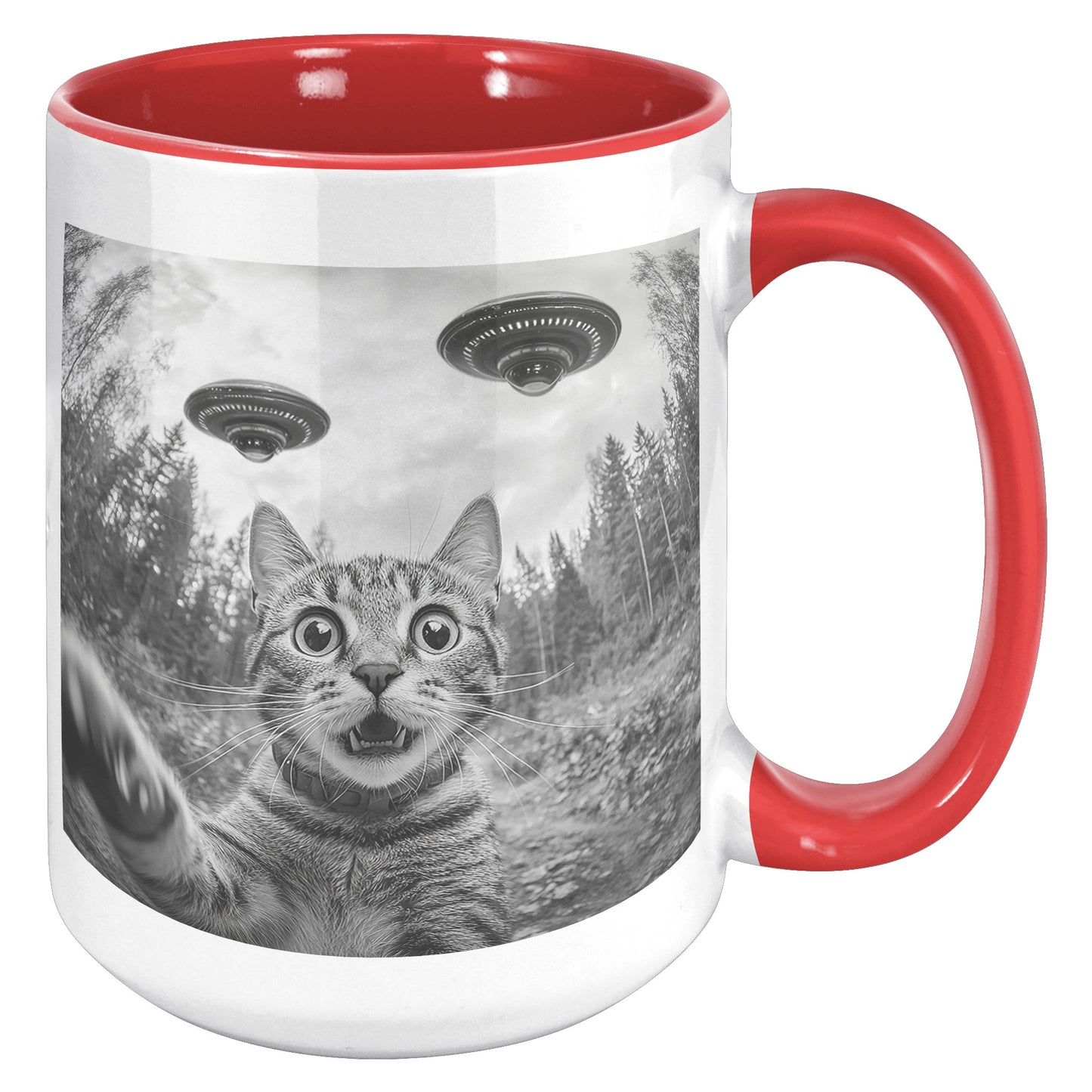 Funny Cat Selfie With Alien UFO 15oz Accent Mug, Cat Momma Gift, Cat Dad Gift
