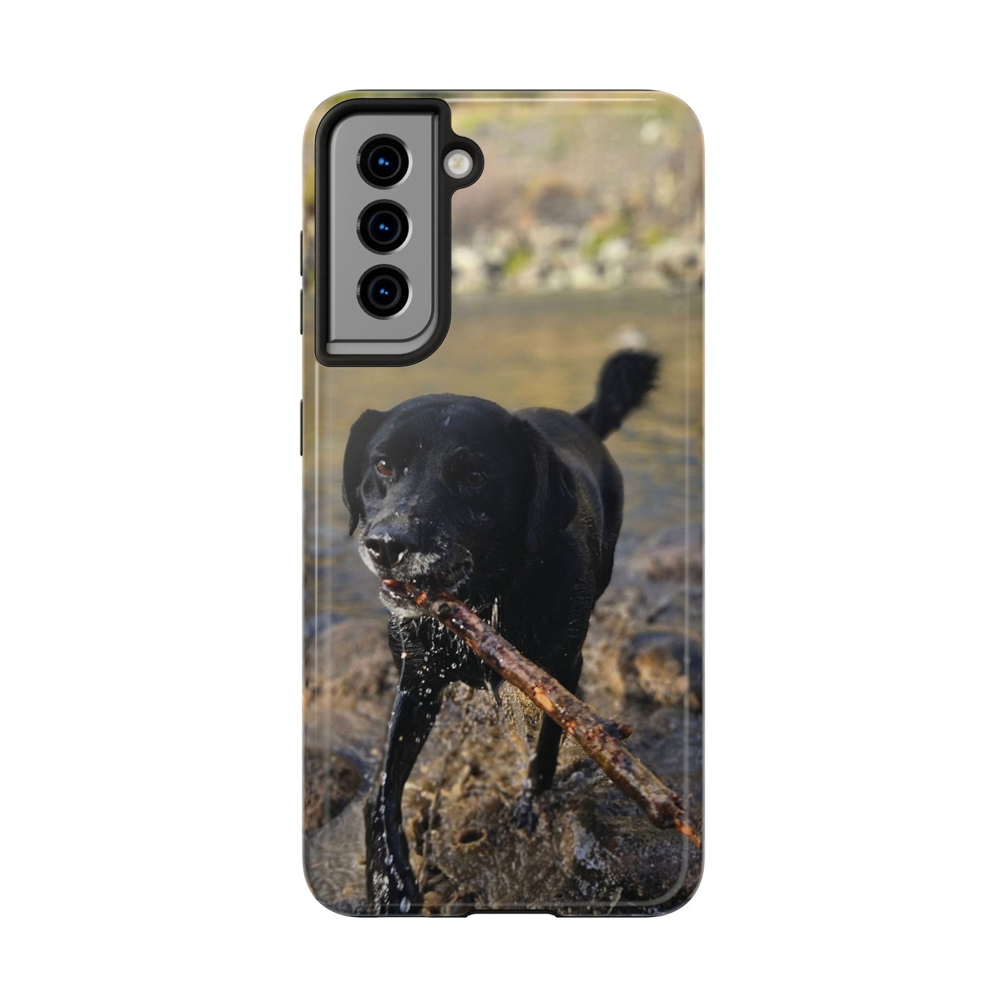 Personalized Pet Phone Cases, Custom Phone Cases, iPhone, Samsung, Multiple Models