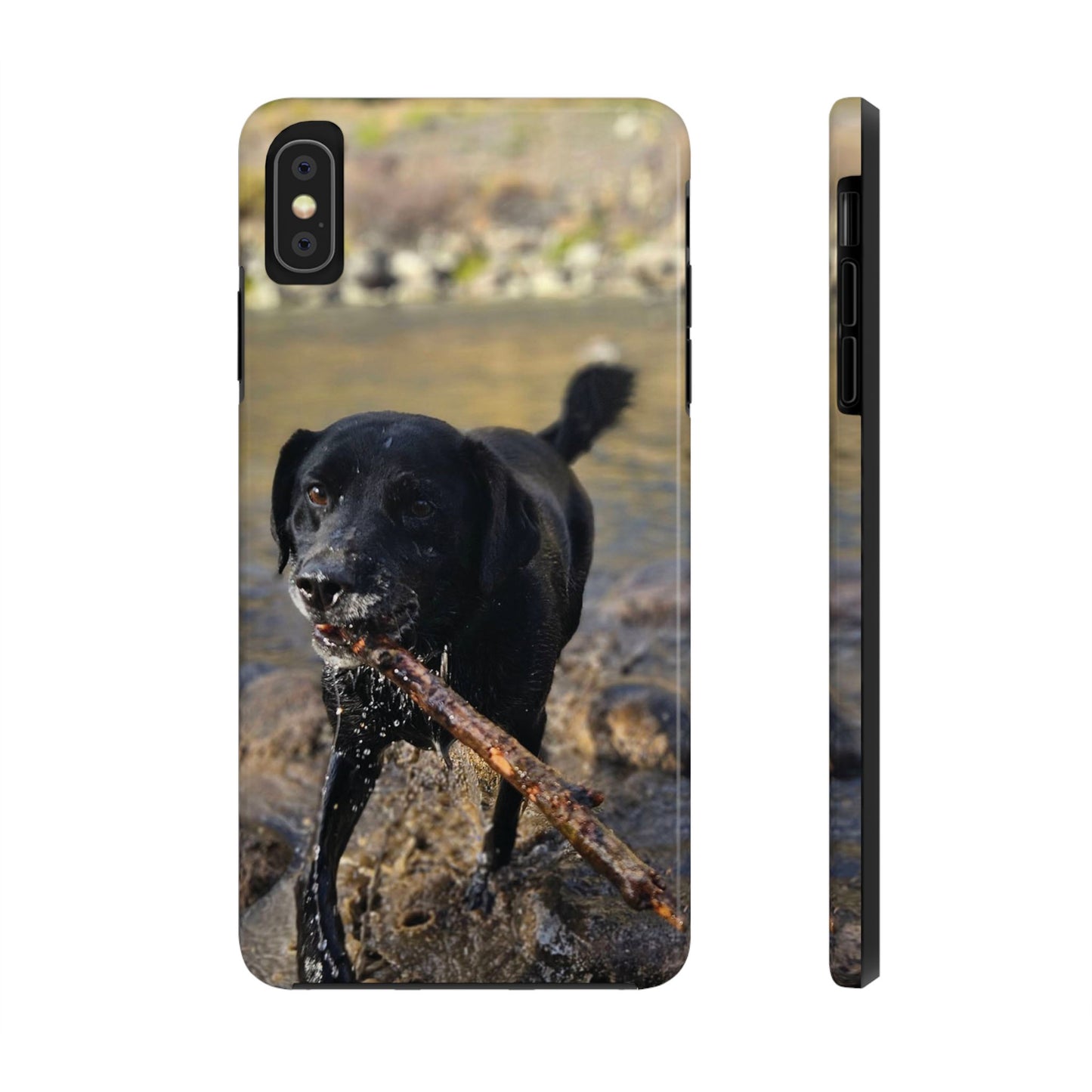 Personalized Pet Phone Cases, Custom Phone Cases, iPhone, Samsung, Multiple Models