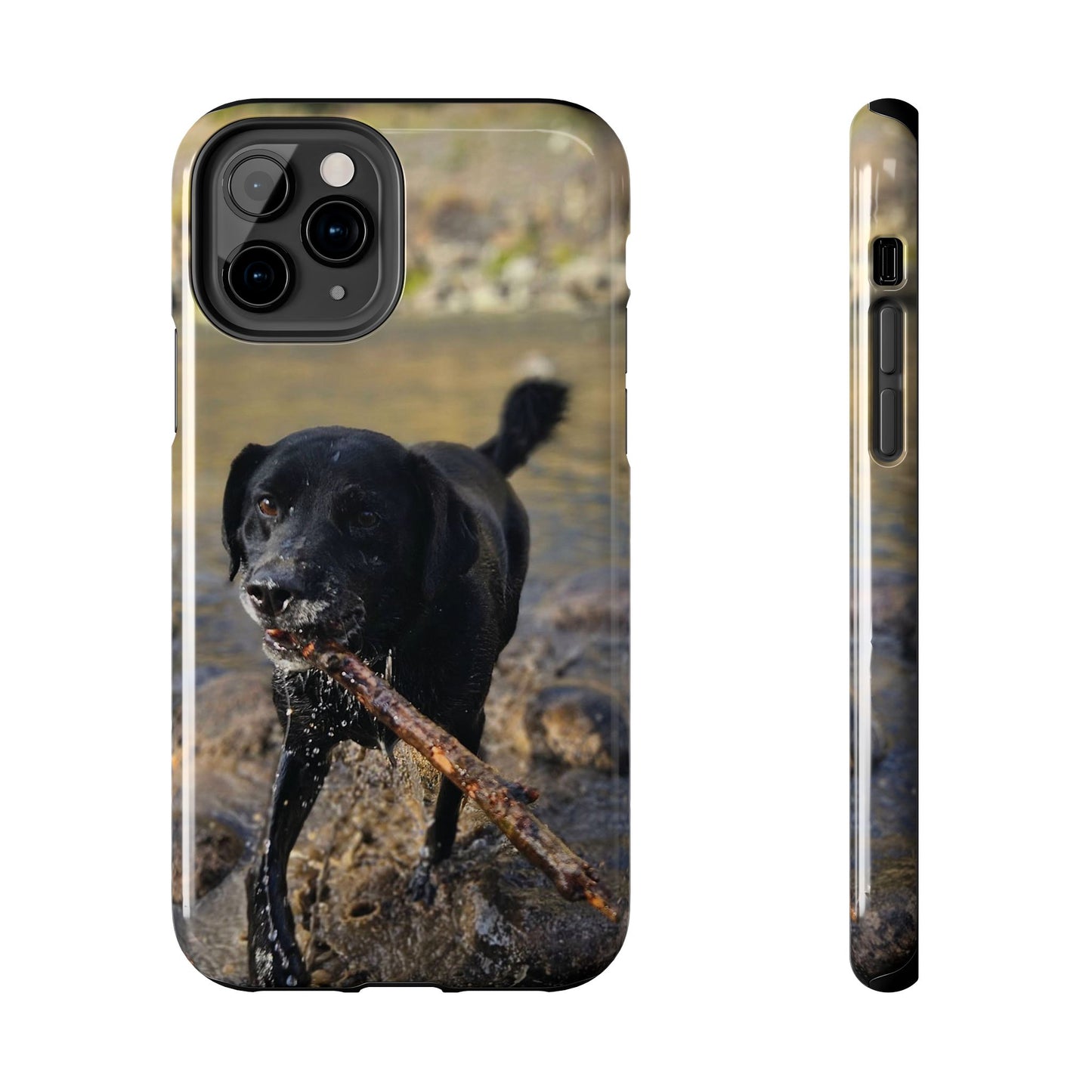 Personalized Pet Phone Cases, Custom Phone Cases, iPhone, Samsung, Multiple Models