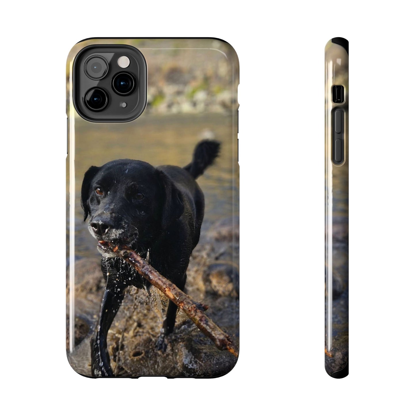 Personalized Pet Phone Cases, Custom Phone Cases, iPhone, Samsung, Multiple Models