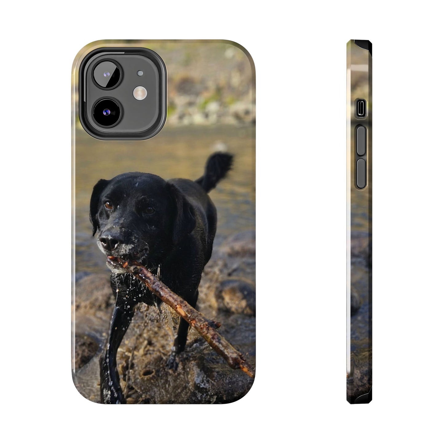 Personalized Pet Phone Cases, Custom Phone Cases, iPhone, Samsung, Multiple Models