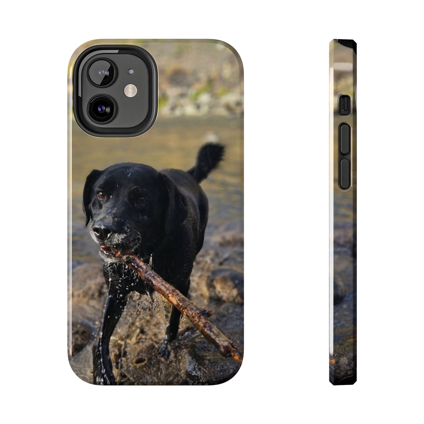 Personalized Pet Phone Cases, Custom Phone Cases, iPhone, Samsung, Multiple Models