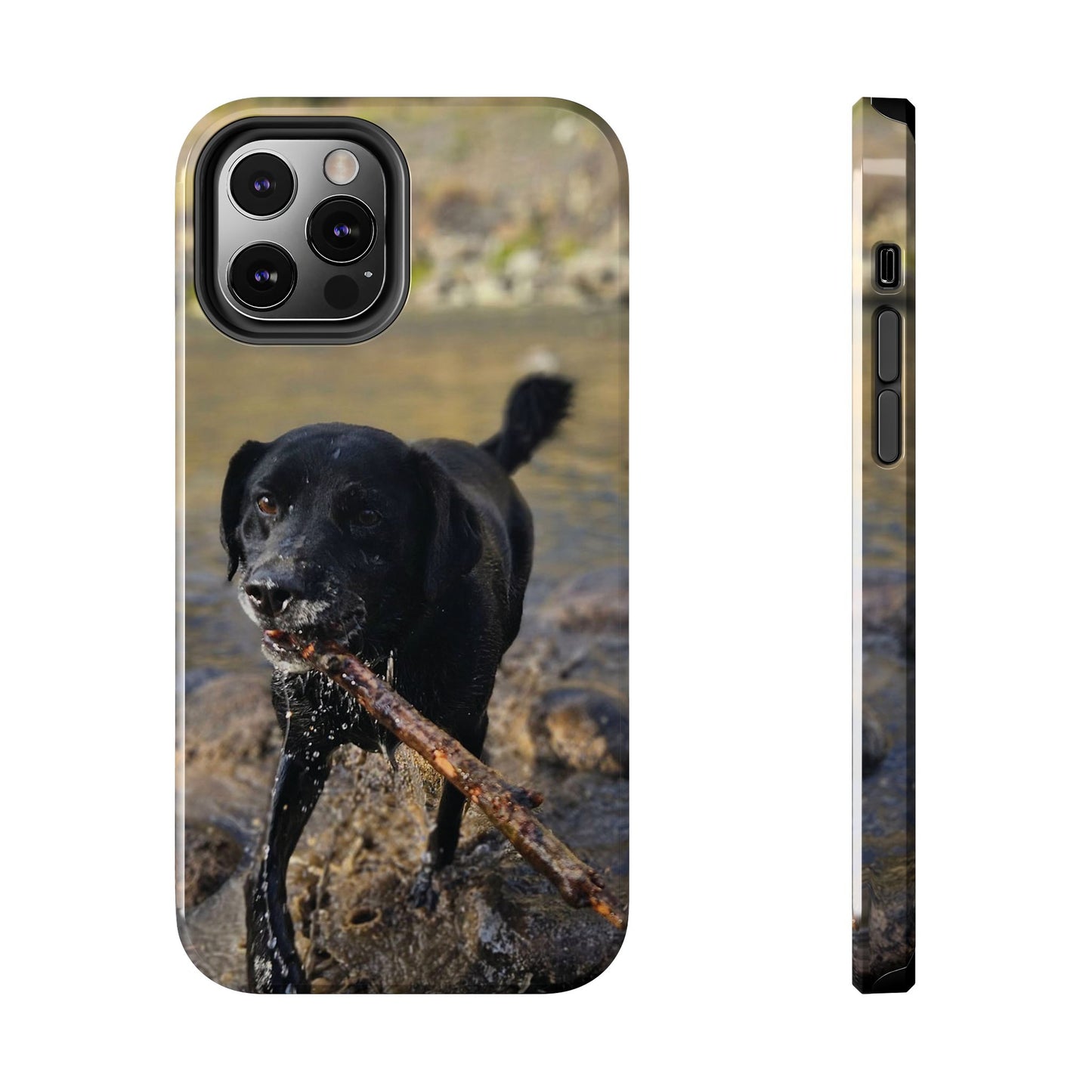Personalized Pet Phone Cases, Custom Phone Cases, iPhone, Samsung, Multiple Models