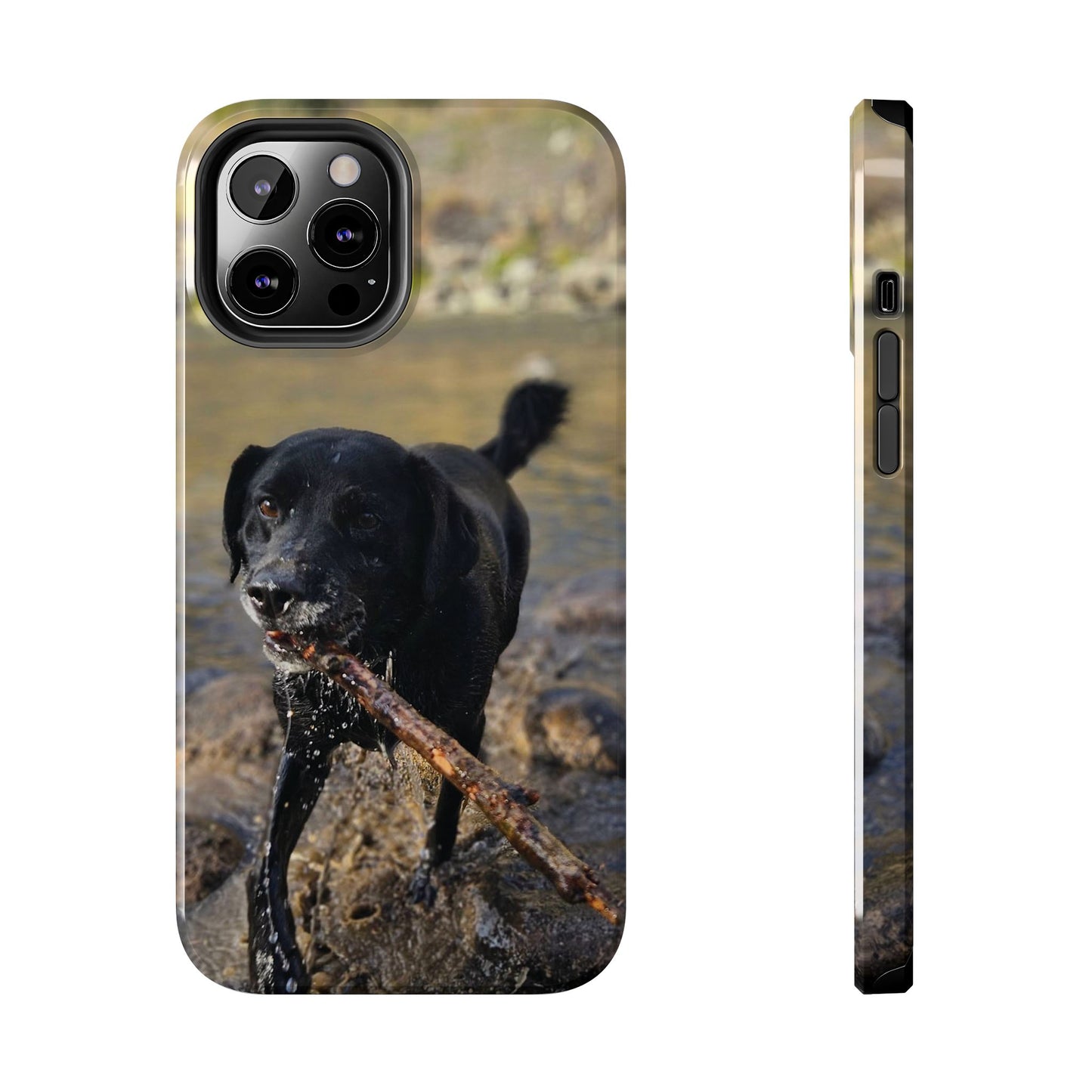 Personalized Pet Phone Cases, Custom Phone Cases, iPhone, Samsung, Multiple Models