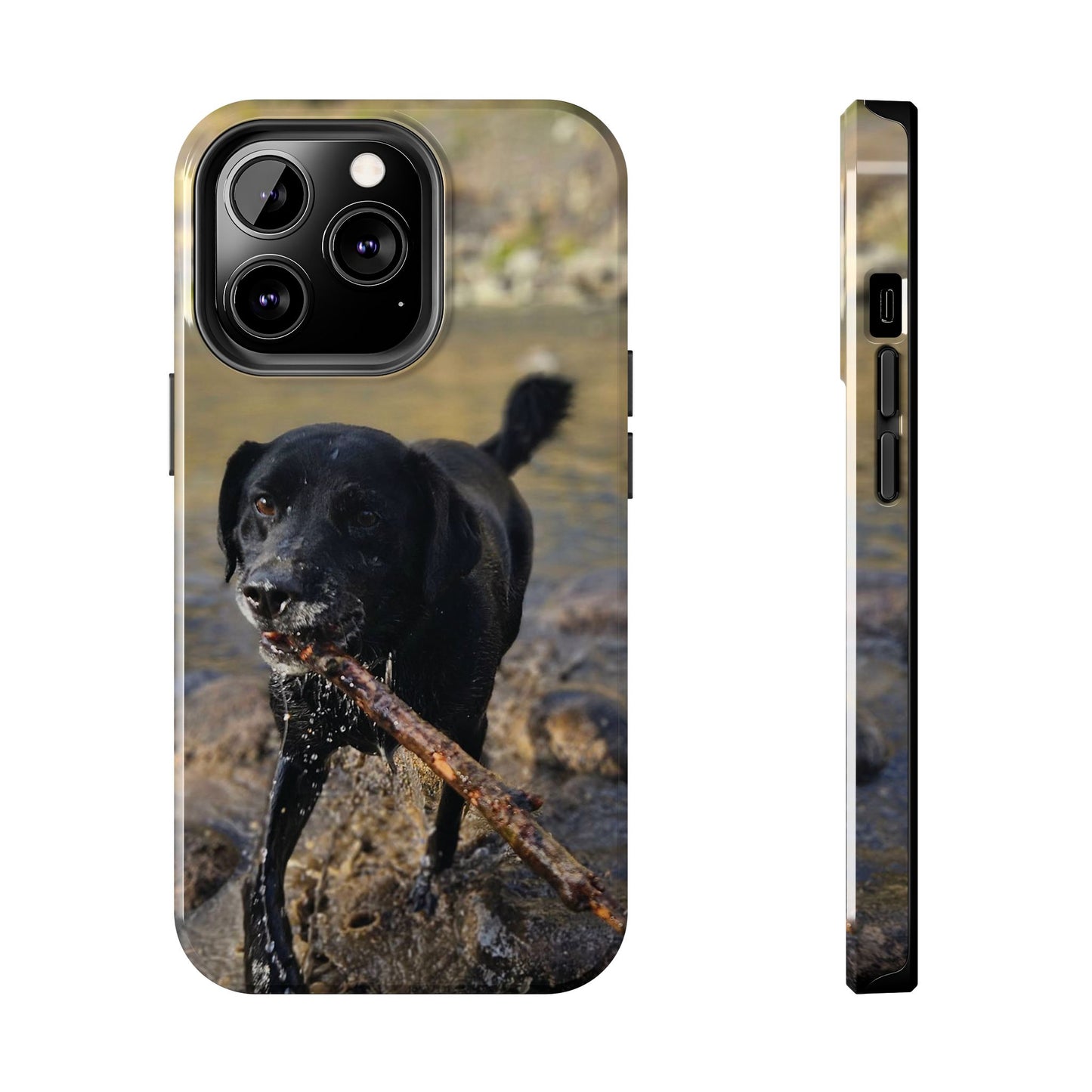 Personalized Pet Phone Cases, Custom Phone Cases, iPhone, Samsung, Multiple Models