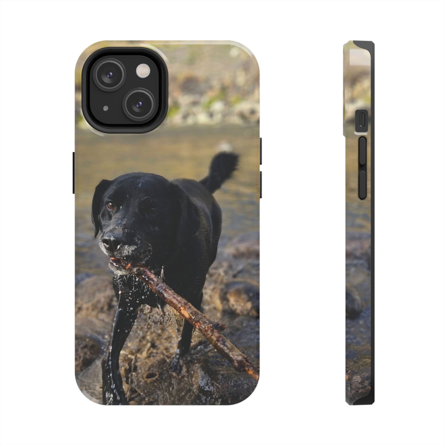Personalized Pet Phone Cases, Custom Phone Cases, iPhone, Samsung, Multiple Models