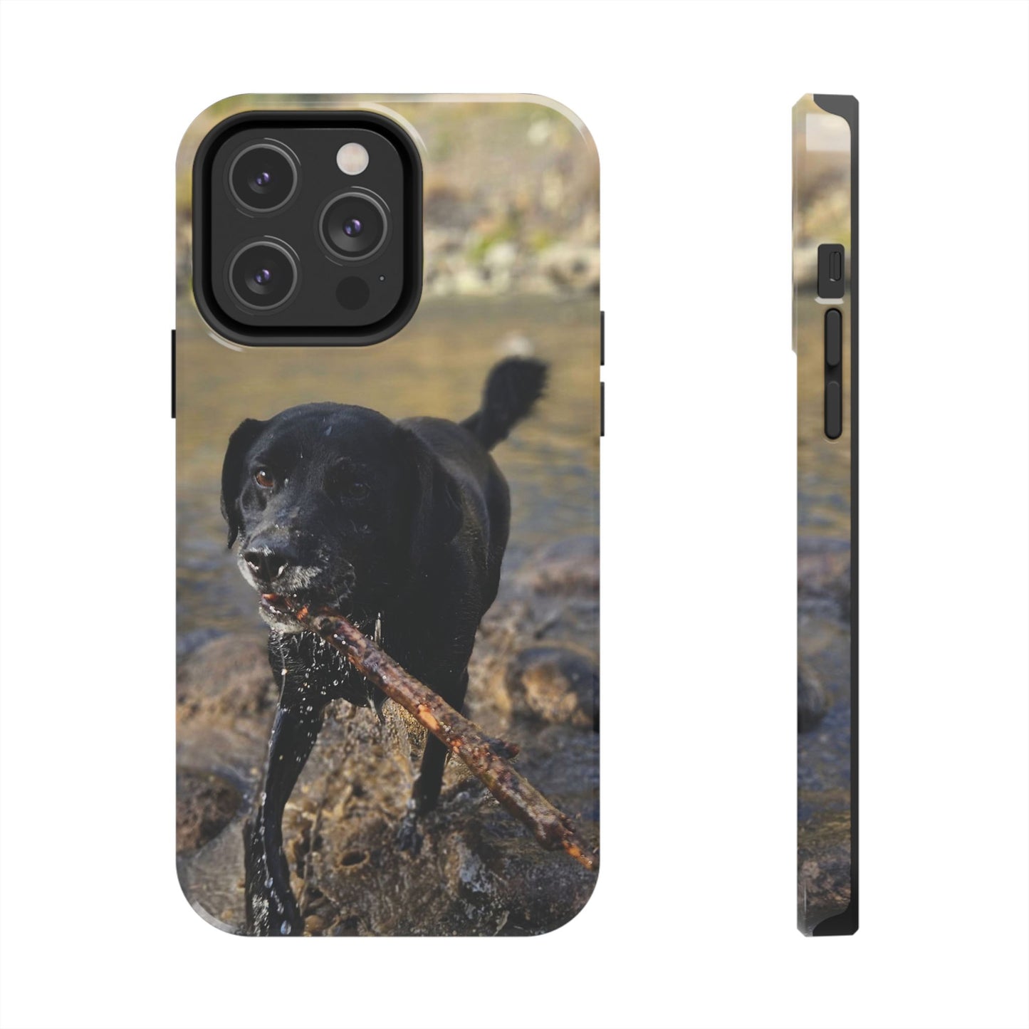 Personalized Pet Phone Cases, Custom Phone Cases, iPhone, Samsung, Multiple Models