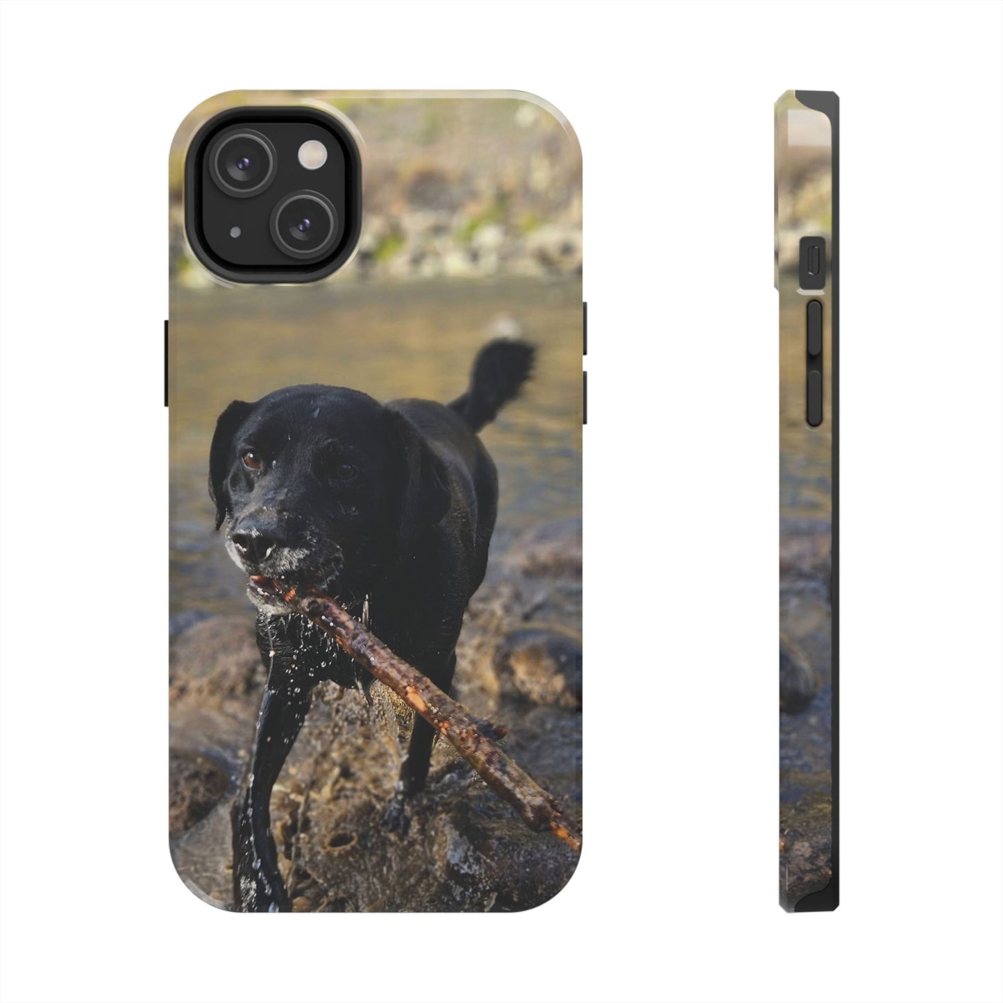 Personalized Pet Phone Cases, Custom Phone Cases, iPhone, Samsung, Multiple Models