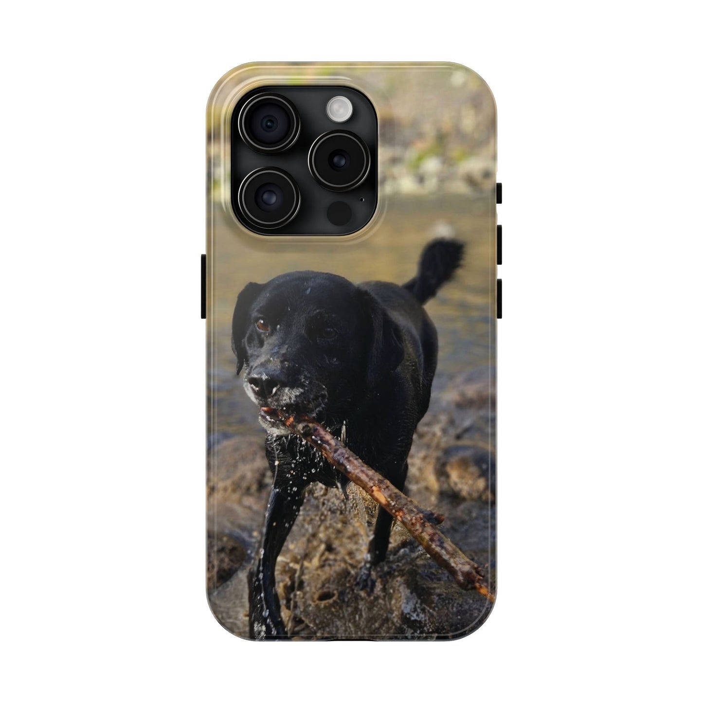 Personalized Pet Phone Cases, Custom Phone Cases, iPhone, Samsung, Multiple Models