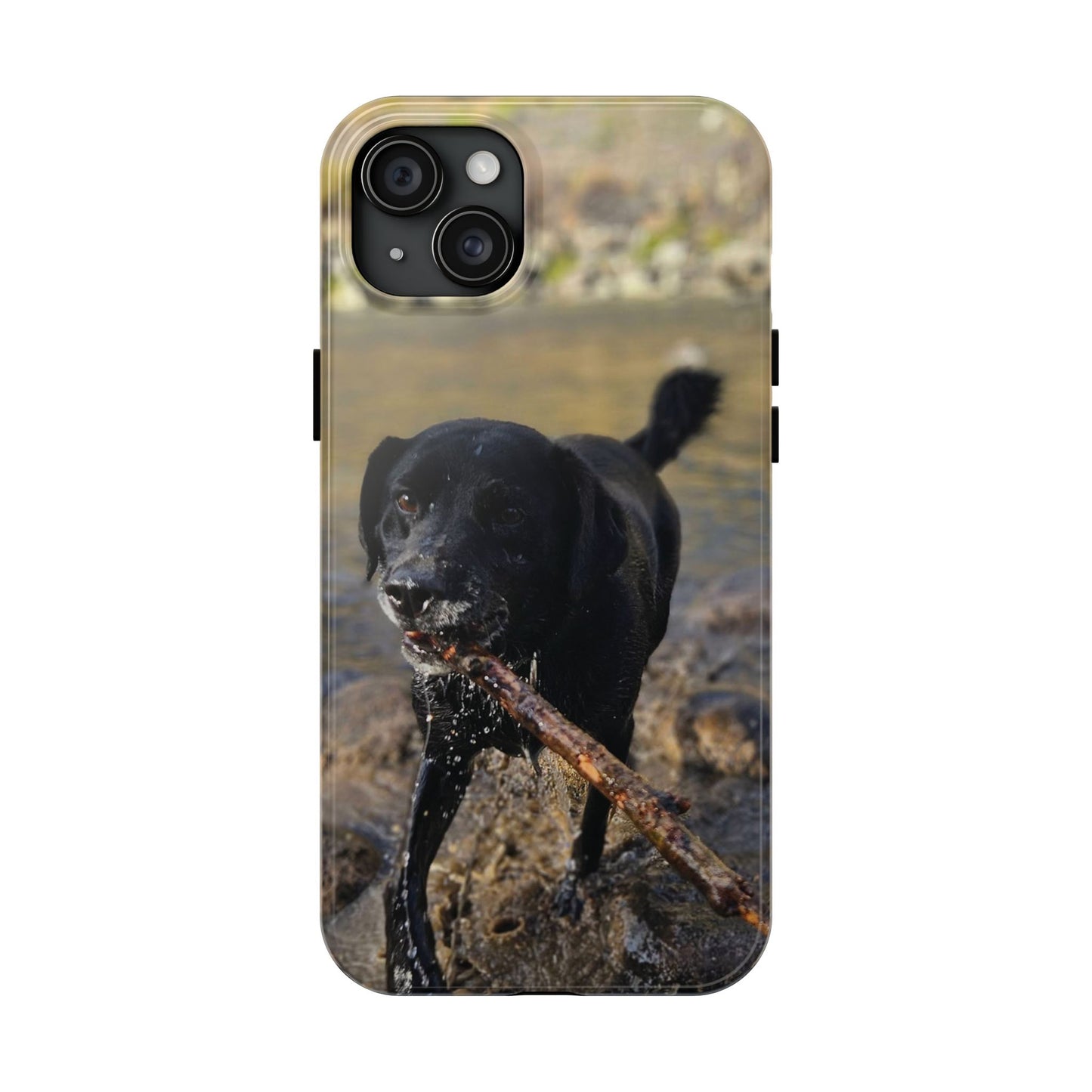 Personalized Pet Phone Cases, Custom Phone Cases, iPhone, Samsung, Multiple Models