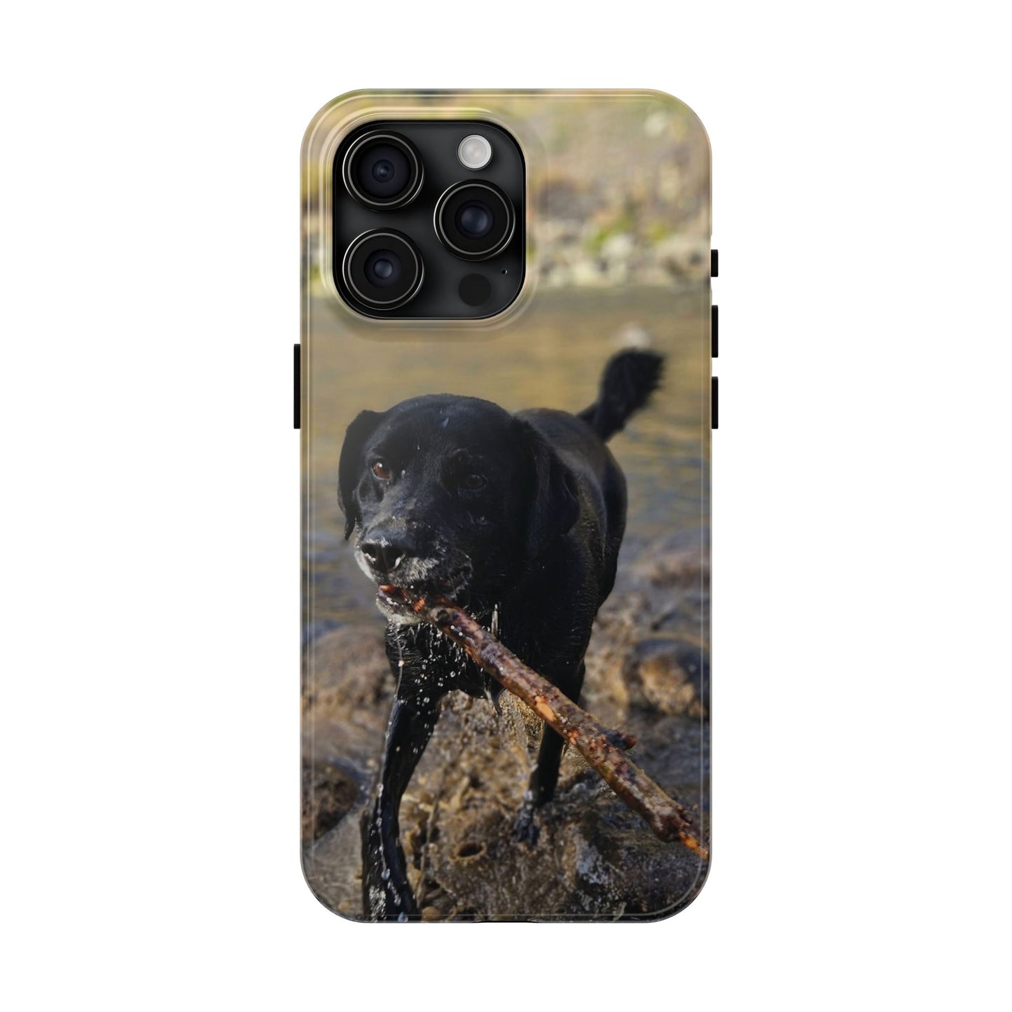 Personalized Pet Phone Cases, Custom Phone Cases, iPhone, Samsung, Multiple Models