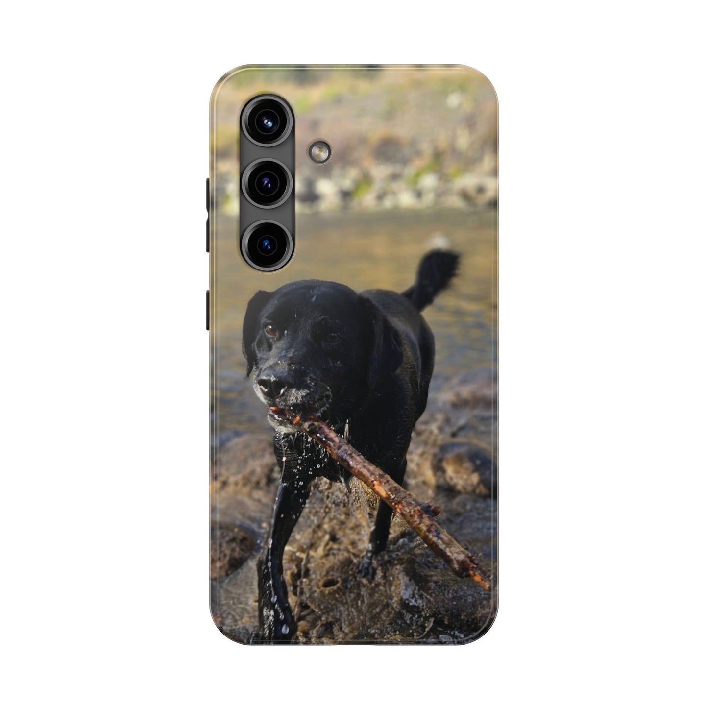 Personalized Pet Phone Cases, Custom Phone Cases, iPhone, Samsung, Multiple Models