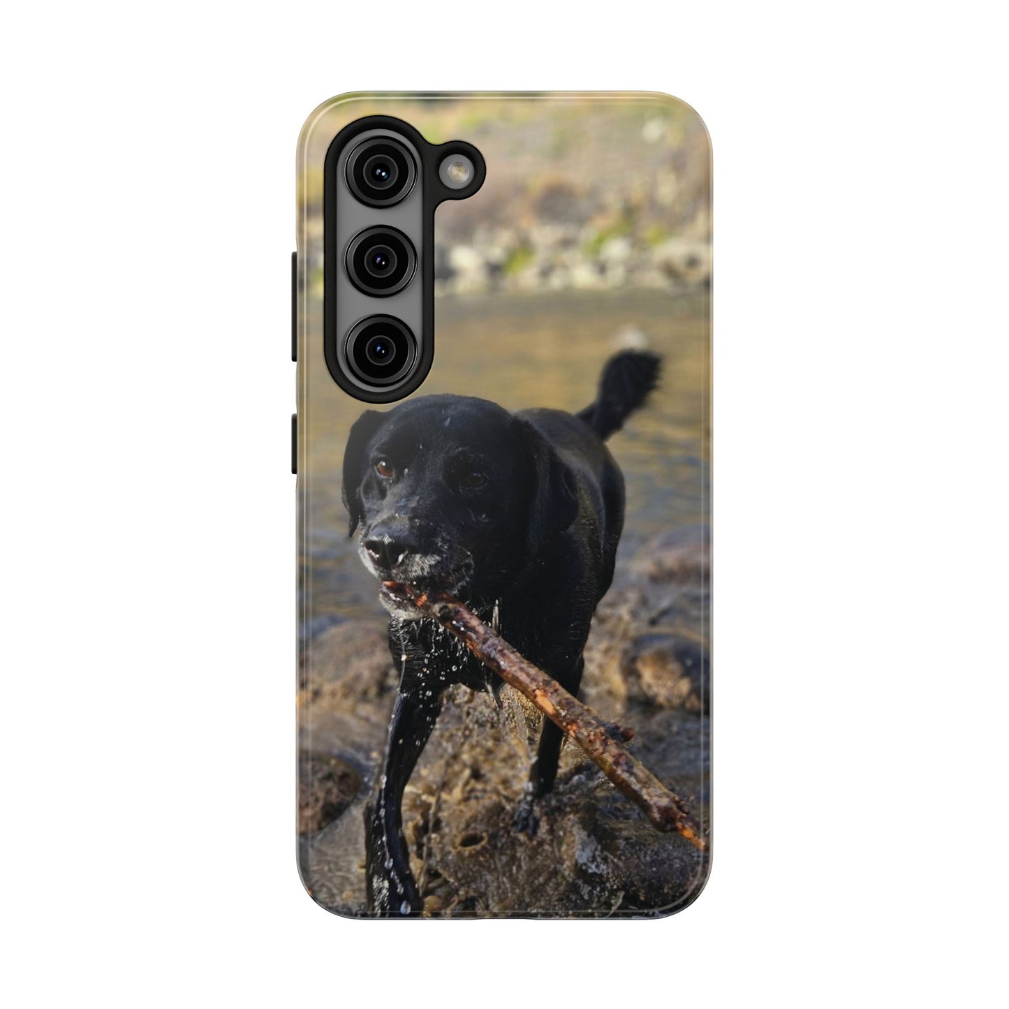 Personalized Pet Phone Cases, Custom Phone Cases, iPhone, Samsung, Multiple Models