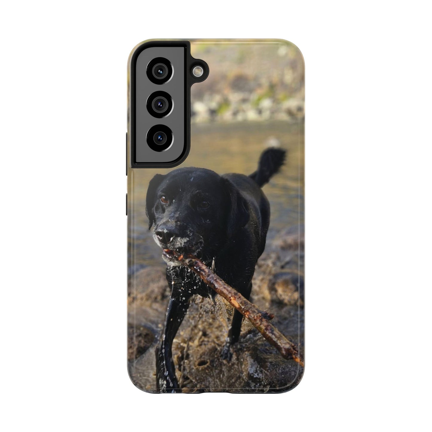 Personalized Pet Phone Cases, Custom Phone Cases, iPhone, Samsung, Multiple Models