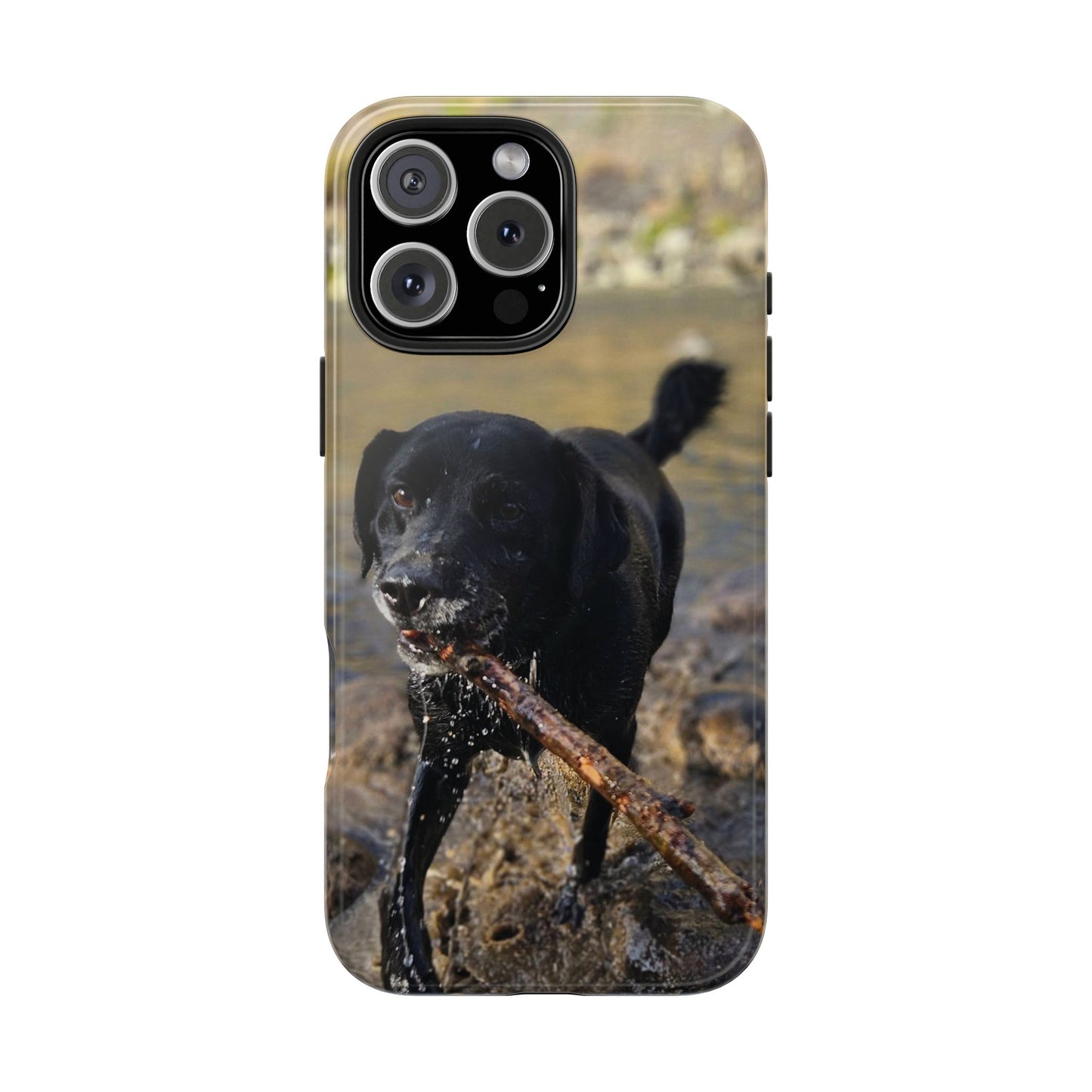 Personalized Pet Phone Cases, Custom Phone Cases, iPhone, Samsung, Multiple Models