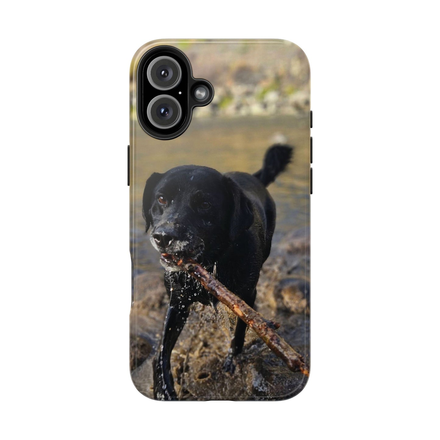 Personalized Pet Phone Cases, Custom Phone Cases, iPhone, Samsung, Multiple Models