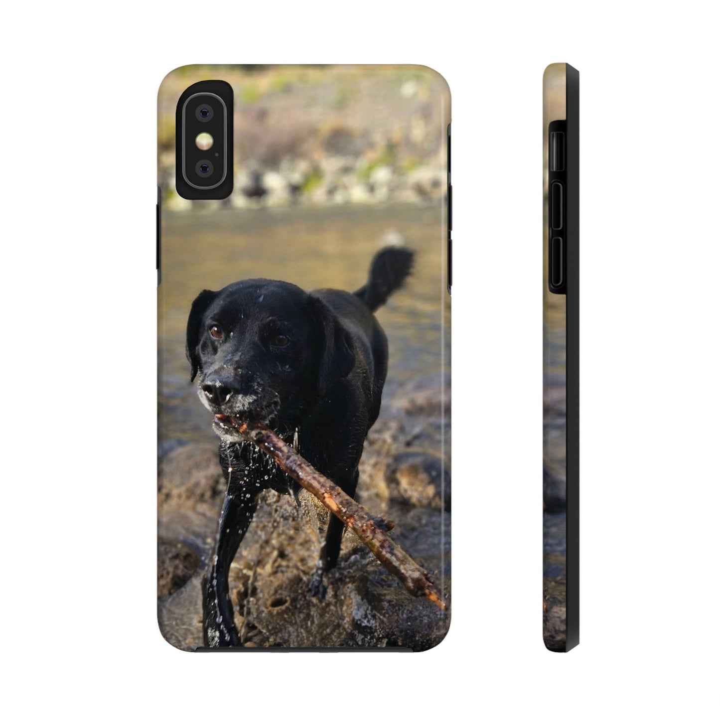 Personalized Pet Phone Cases, Custom Phone Cases, iPhone, Samsung, Multiple Models