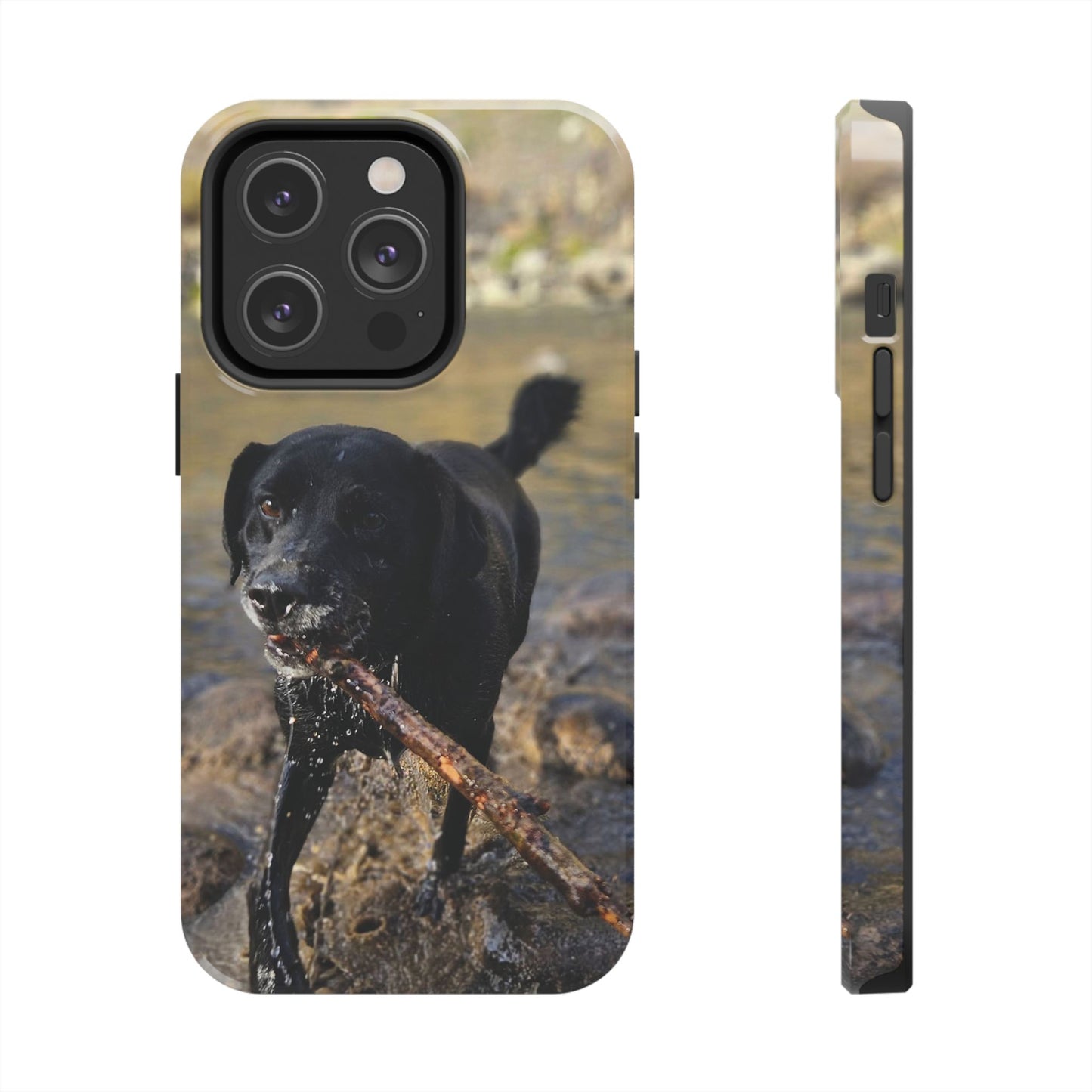 Personalized Pet Phone Cases, Custom Phone Cases, iPhone, Samsung, Multiple Models