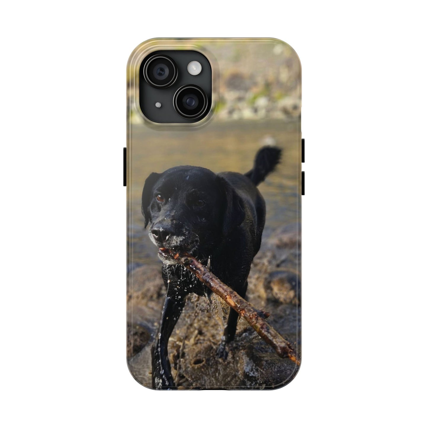 Personalized Pet Phone Cases, Custom Phone Cases, iPhone, Samsung, Multiple Models