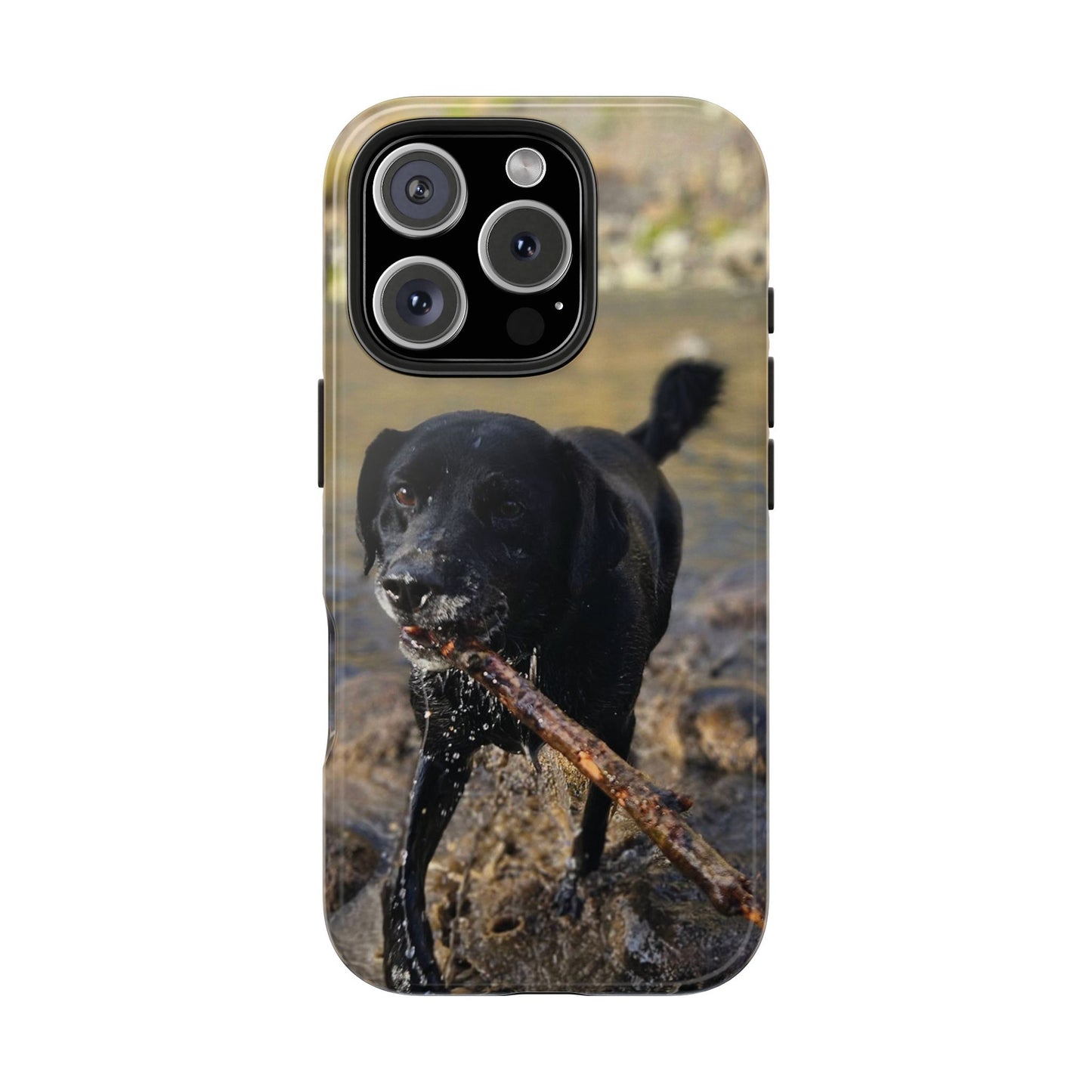 Personalized Pet Phone Cases, Custom Phone Cases, iPhone, Samsung, Multiple Models