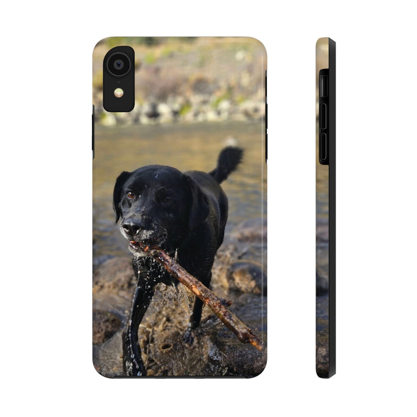 Personalized Pet Phone Cases, Custom Phone Cases, iPhone, Samsung, Multiple Models