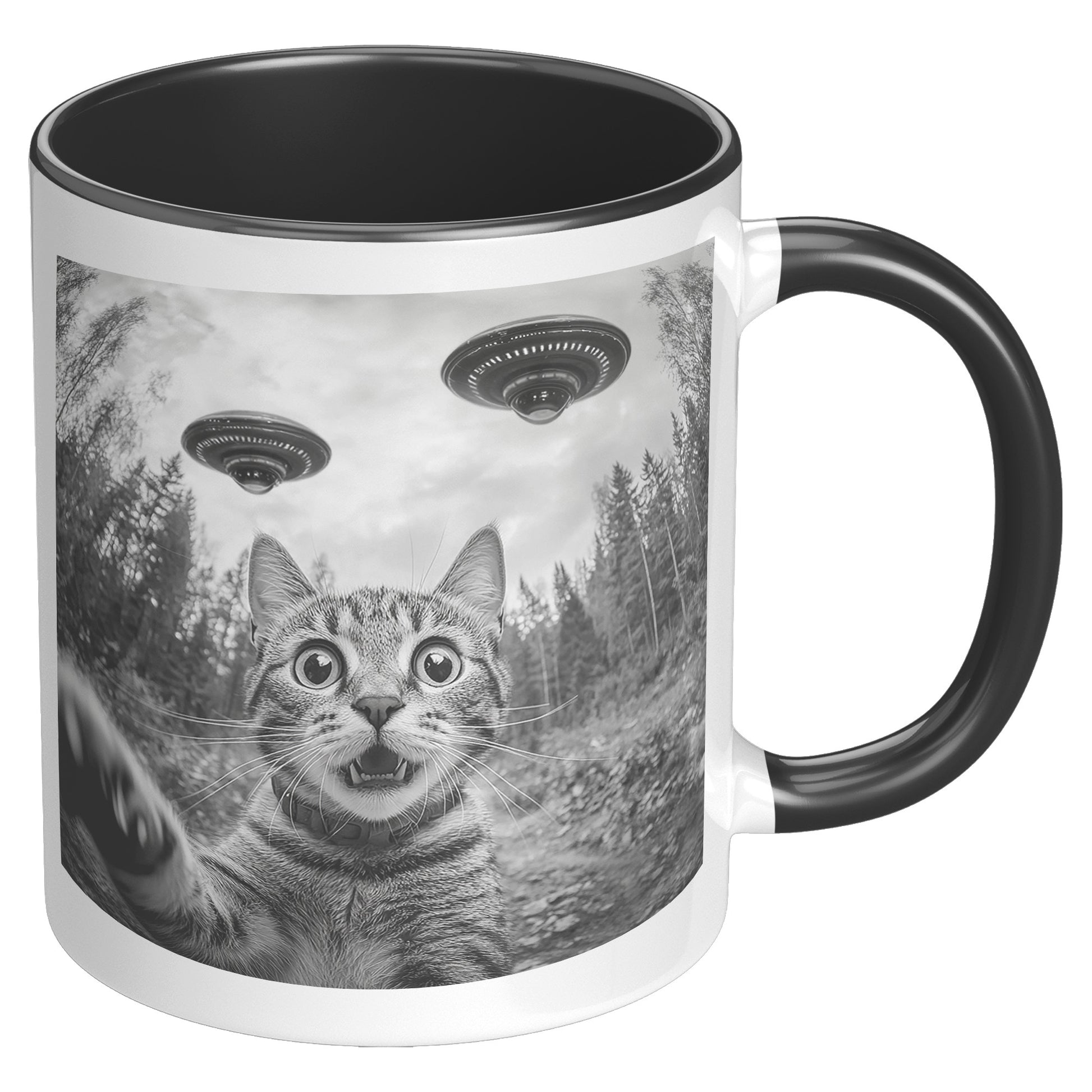 Funny Cat Selfie With Alien UFO 110z Accent Mug, Cat Momma Gift, Cat Dad Gift