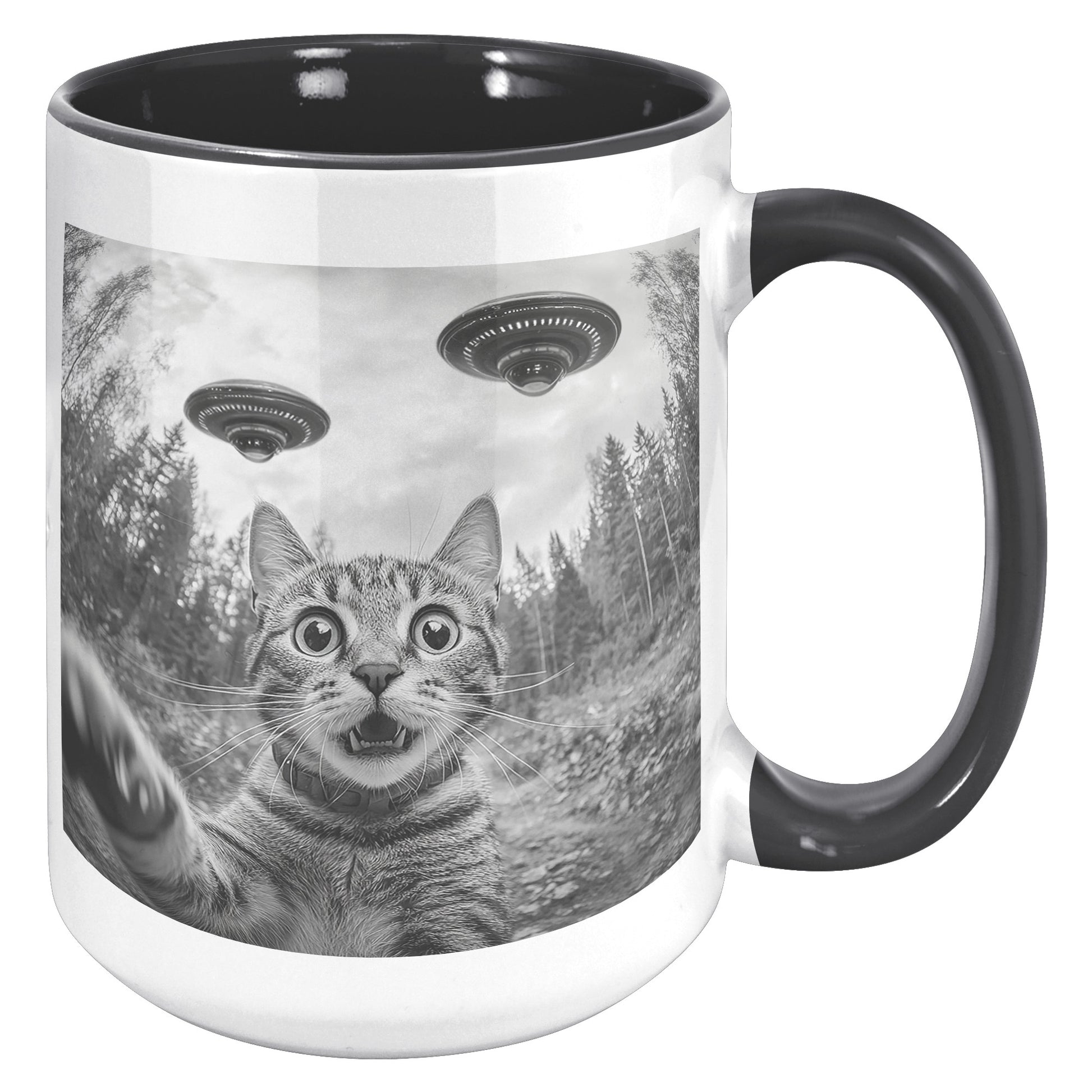 Funny Cat Selfie With Alien UFO 15oz Accent Mug, Cat Momma Gift, Cat Dad Gift