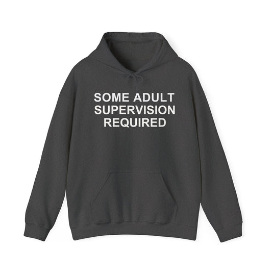 Some Adult Supervision Required Unisex Heavy Blend™ Hoodie Sweatshirt, Funny Hoodie For Men, Women